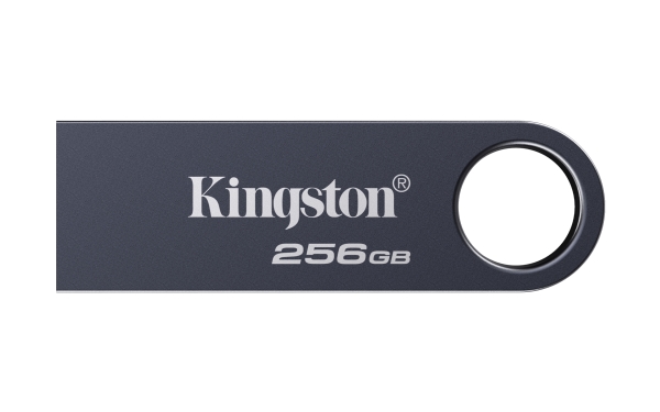 Kingston Datatraveler - Usb Flashdrive - 256 Gb