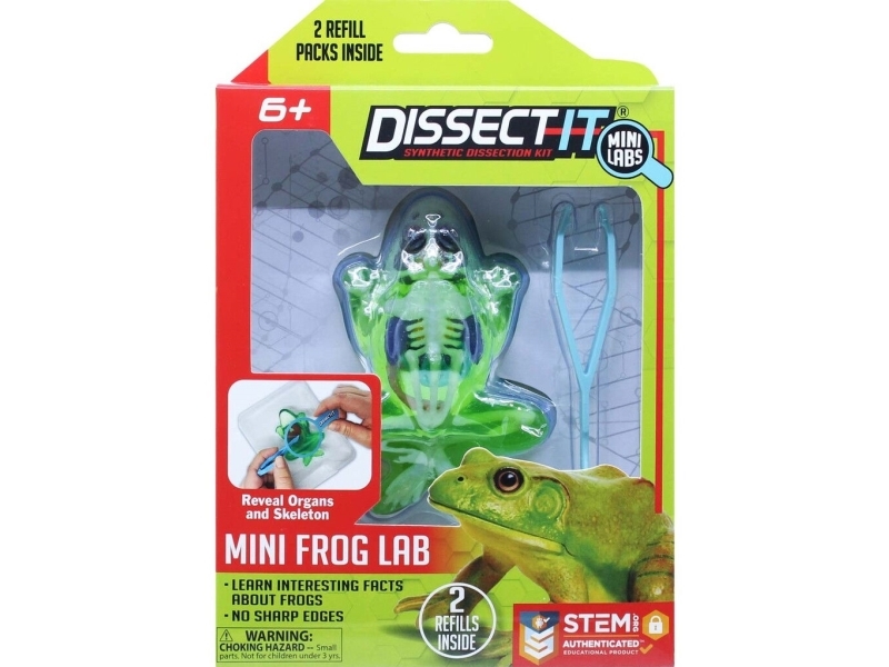 Omega Toys Sensory Compounds - Frosch In Geschenkbox (12-38083)