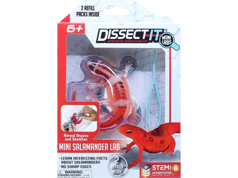 Sensory Compounds Salamander In Geschenkbox