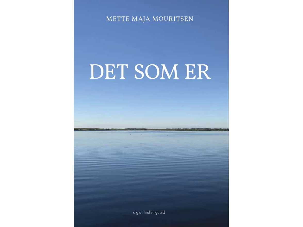 Was Ist | Mette Maja Mouritsen | Sprache: Dänish