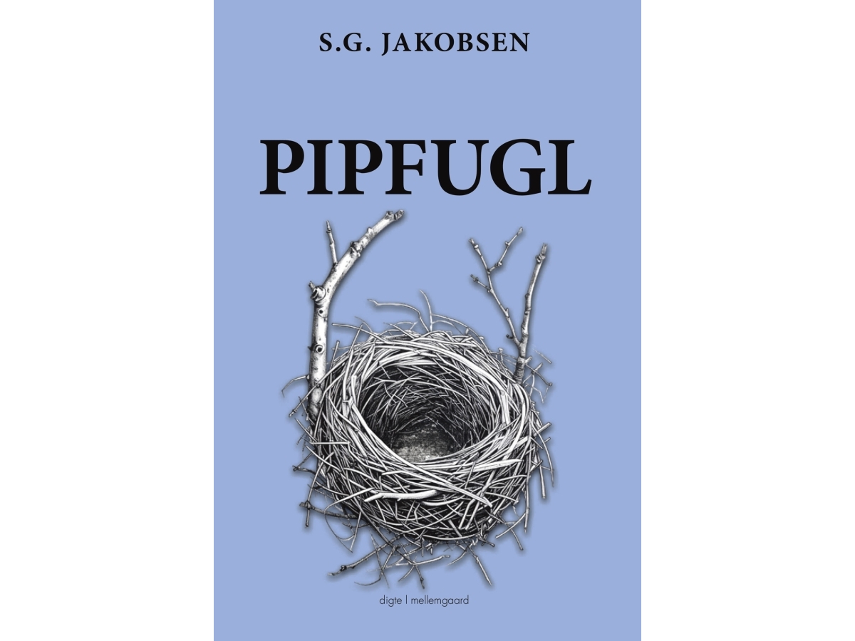 Pipfugl | S.G. Jakobsen
