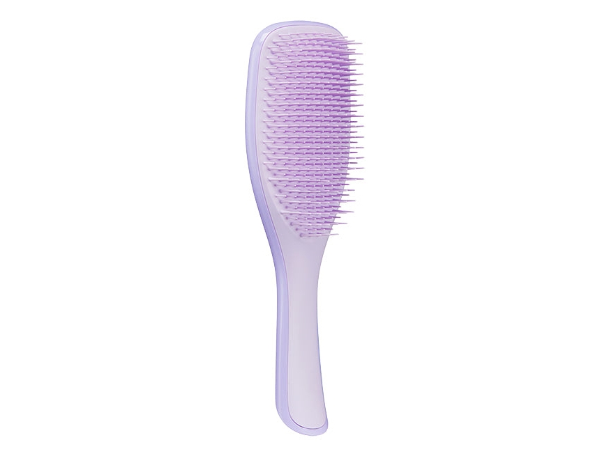 Tangle Teezer The Fine and Fragile Ultimate Detangler Hairbrush for Wet & Dry Hair Color Treated Fine Fragile Hair Hypnotic Heather 1 Count