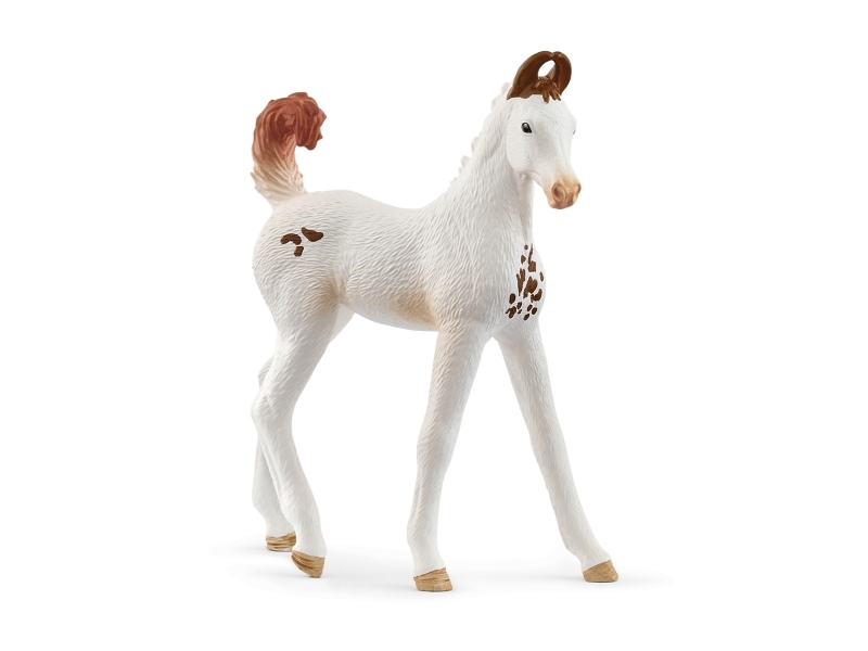 Schleich Horse Club Marwari Fohlen, 5 Jahr(E), Horses, Weiß