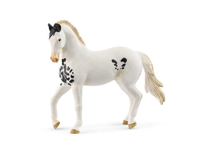Schleich Horse Club Marwari Hengst, 5 Jahr(E), Horses, Mehrfarbig