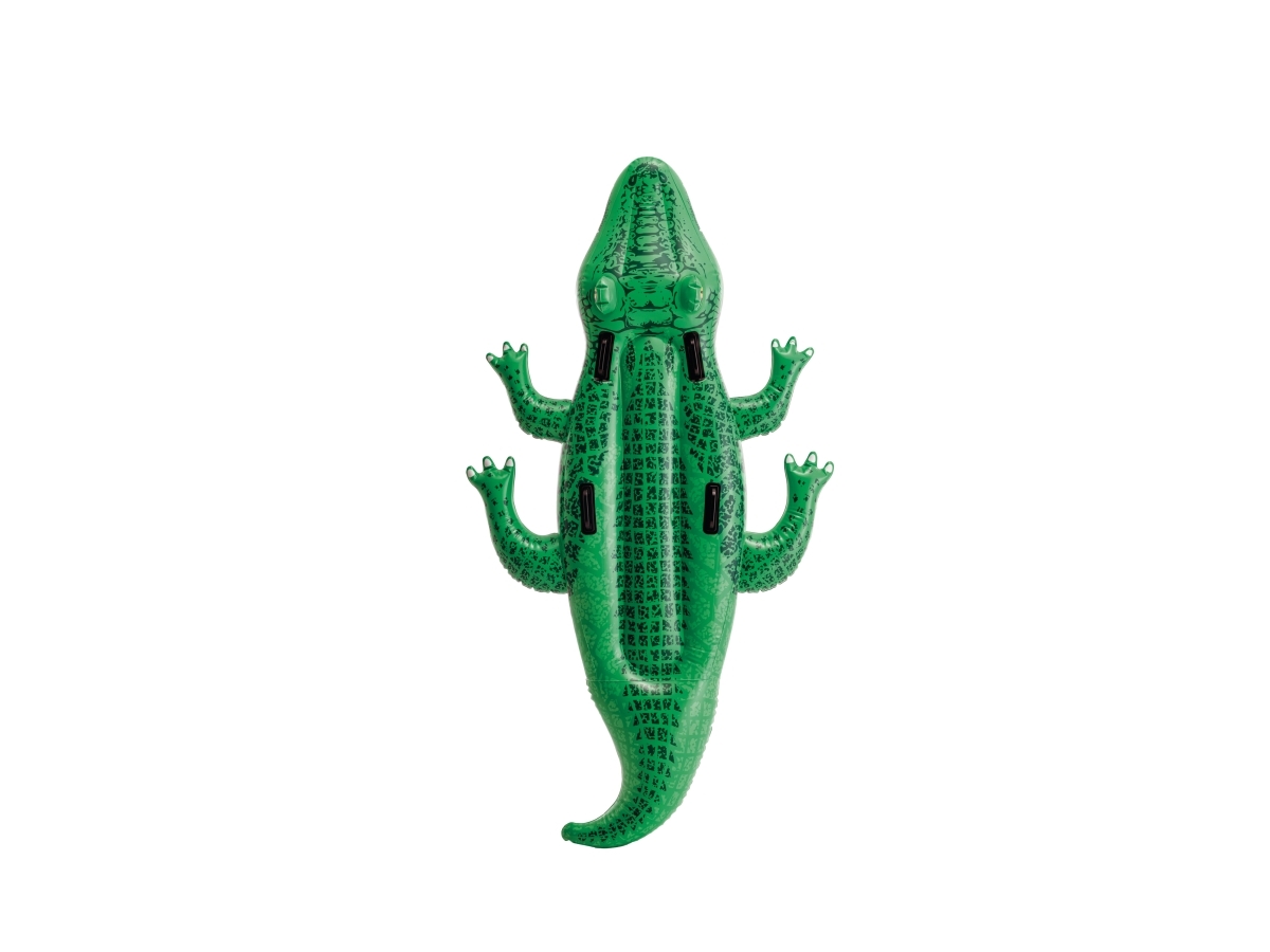 Intex 58562NP, Djur, 3 År, Vinyl, Grön | Trädgården - Pools & Vatten spel - Poolleksaker | GameStuff