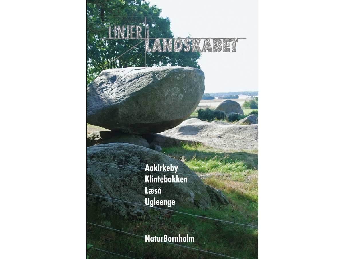 Linien In Der Landschaft | Naturbornholm, Bornholms Museum | Sprache: Dänish