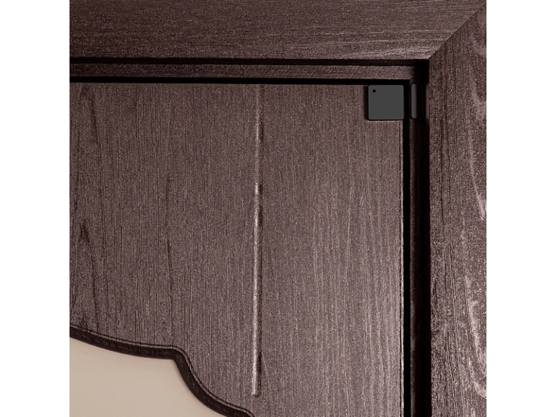 Shelly BLU Door Window ZB - svart