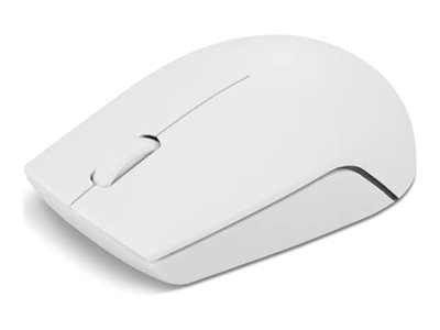 Lenovo 300 Wireless Compact - Mus - med batteri - optisk - 3 knapper - trådløs - 2.4 GHz - trådløs modtager (USB) - skygrå - blister