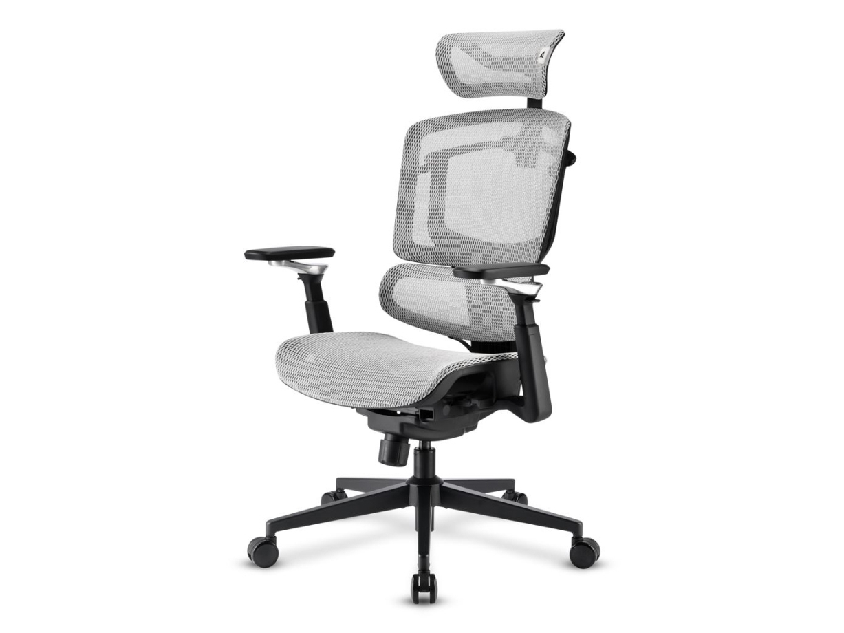 Sharkoon Officepal C50m, Padded Seat, Meshed Backrest, Black, Black, Fabric, Foam, Mesh