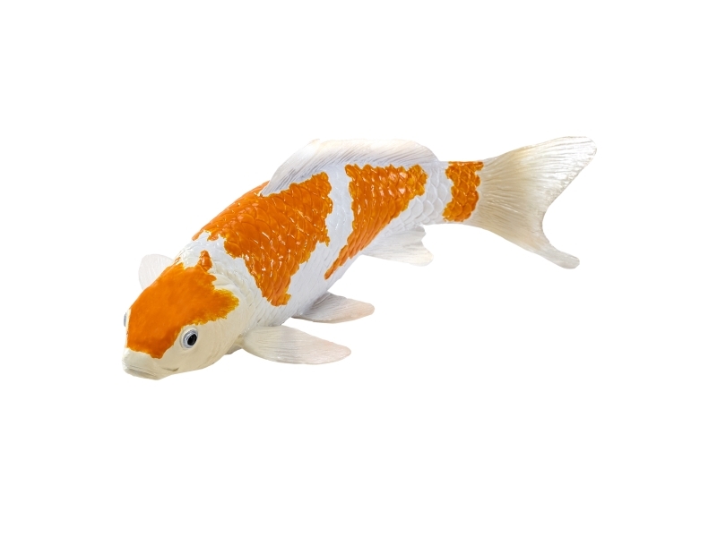 Koi Carp - Ochiba Shigure Koi (Gold White) | Utomhus - Fiskeredskap - Tillbehör | GameStuff