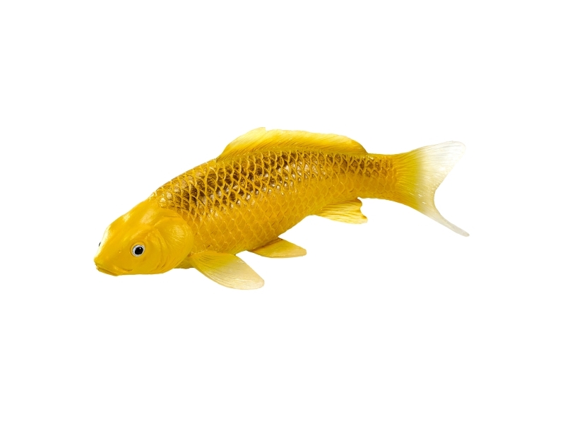 Mojo Sealife Koi Carp - Kin Matsuba Koi