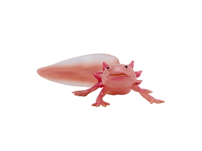 Axolotl | Utomhus - Fiskeredskap - Tillbehör | GameStuff