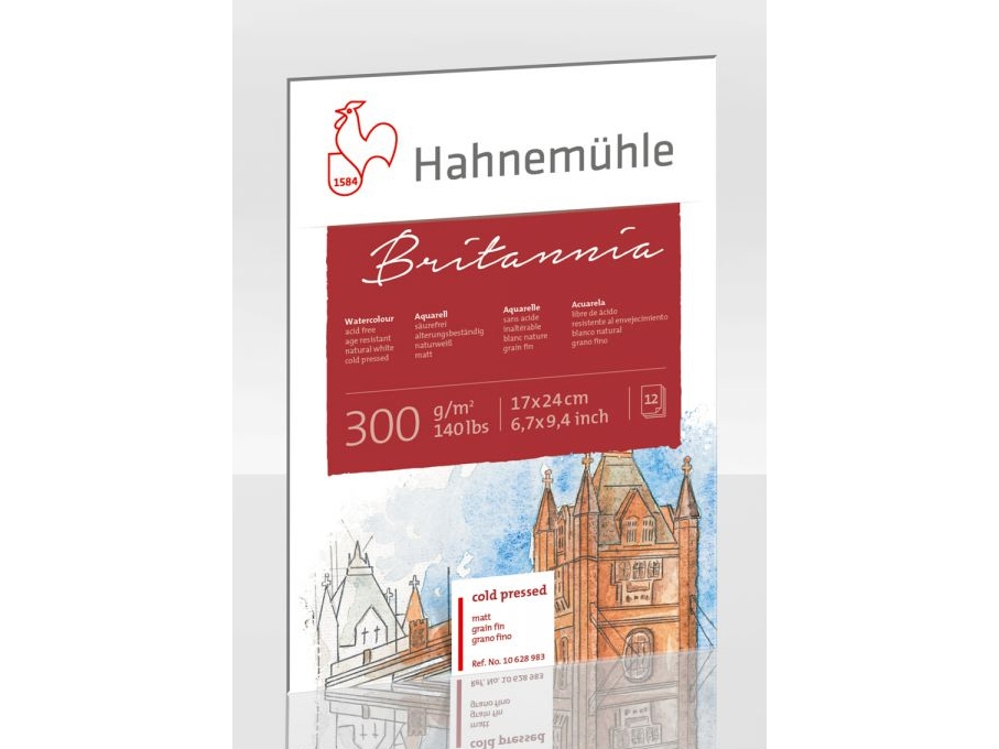 Hahnemühle 10628981, Art Paper, 300 G/M², 12 Sheets
