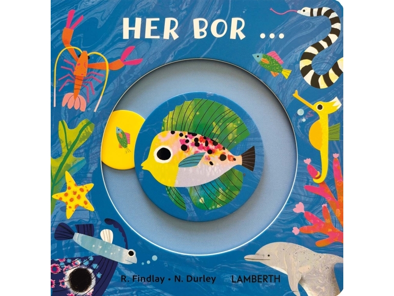Her Bor ... | Rhiannon Findlay