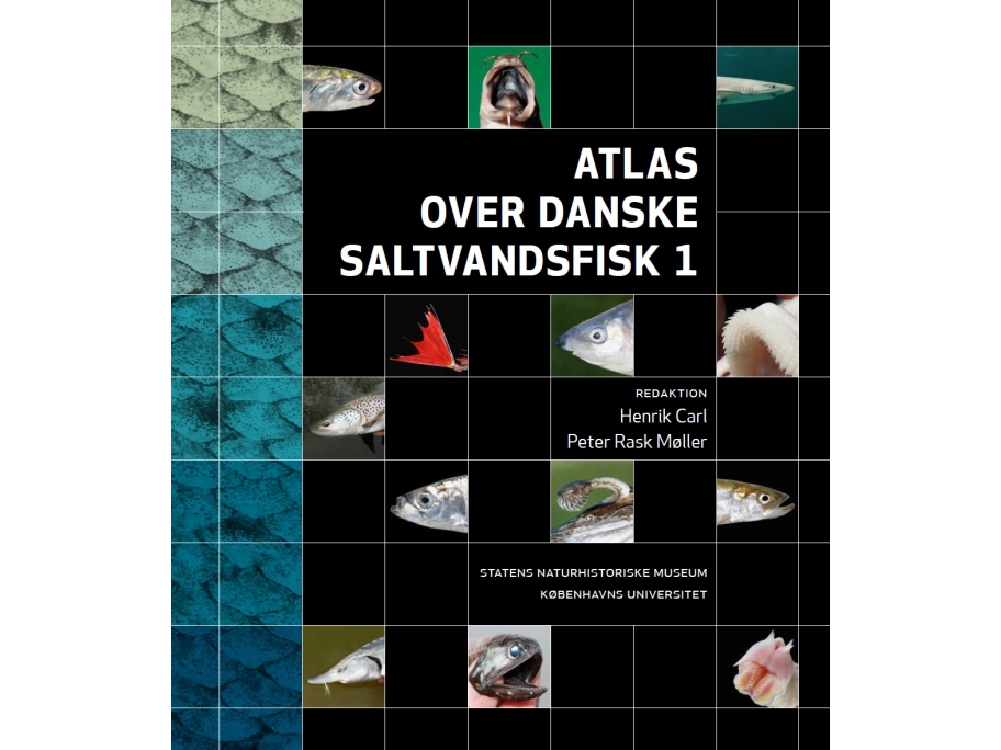 Atlas over danske saltvandsfisk | Redaktion Henrik Carl & Peter Rask Møller