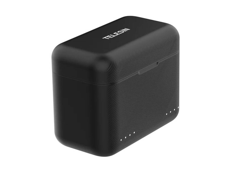 Telesin 2-Slot Charger + Card Storage For Insta360 X4