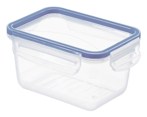 Rotho Clic & Lock, Container, Rechteckig, 0,75 L, Blau, Transparent, Kunststoff, -20 °C