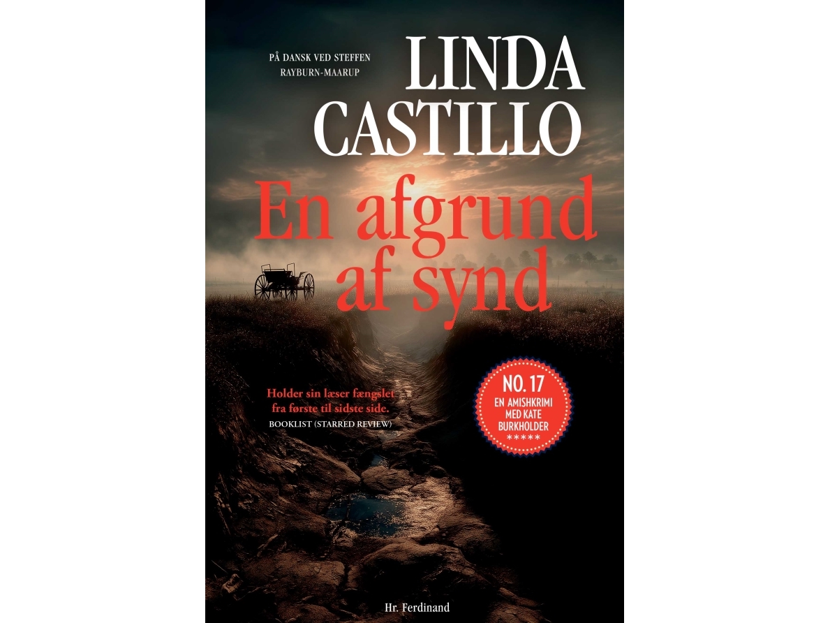 En Afgrund Af Synd | Linda Castillo
