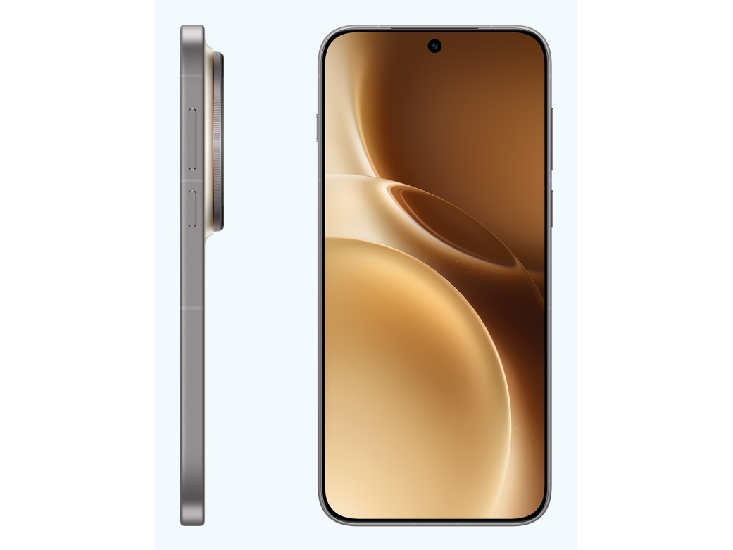 Vivo X300 Pro 16Gb/512Gb Braun