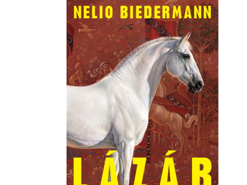 Lázár | Nelio Biedermann