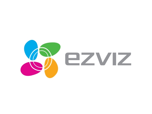 Atminties Kortelė Micro Sd 256Gb Ezviz Cs-Cmt-Cardt256g