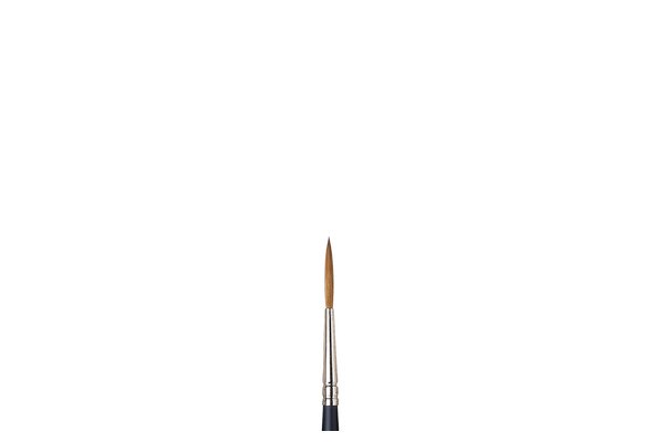 Artists Watercolour Brush Sable Rigger 3