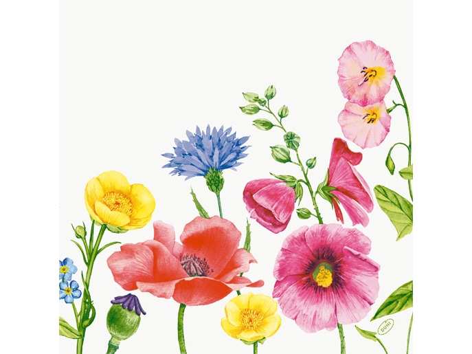 Duni Bio Dunisoft, Flerfarvet, Monokromatisk, 400 mm, 400 mm, 60 stk, 205 mm