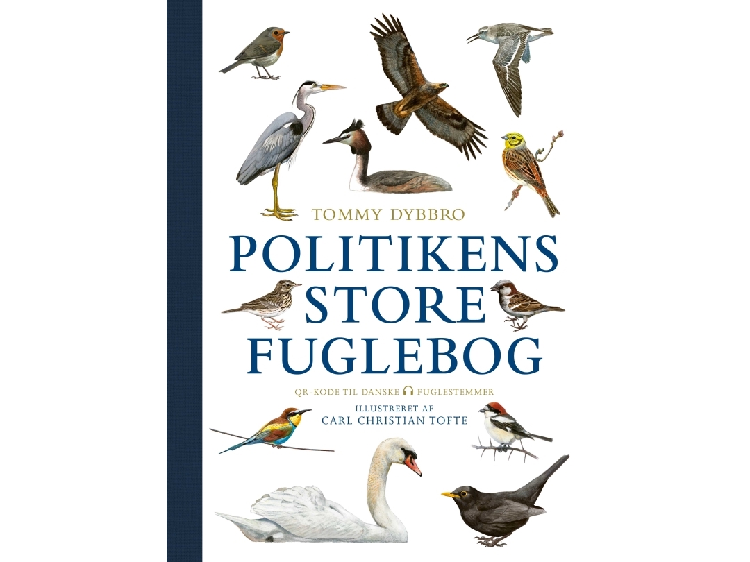 Politikens store fuglebog | Tommy Dybbro