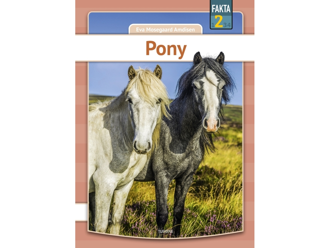 Pony | Eva Mosegaard Amdisen