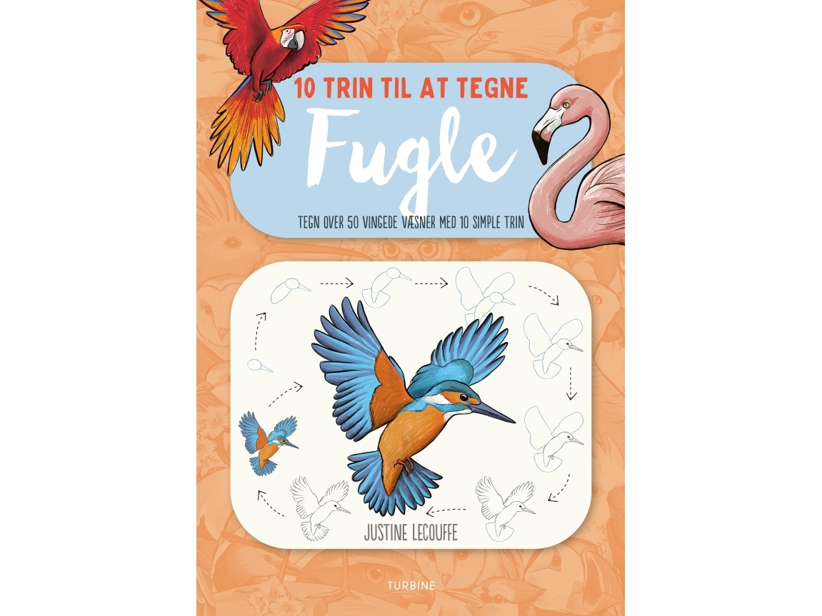 10 Trin Til At Tegne Fugle | Justine Lecouffe