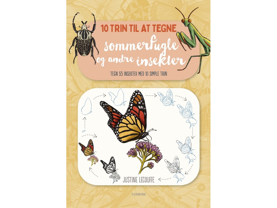 10 Trin Til At Tegne Sommerfugle Og Andre Insekter | Justine Lecouffe