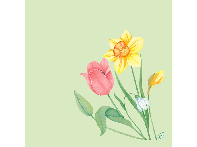 Duni Servietten Bio Dsf Spring Melody, Firkant