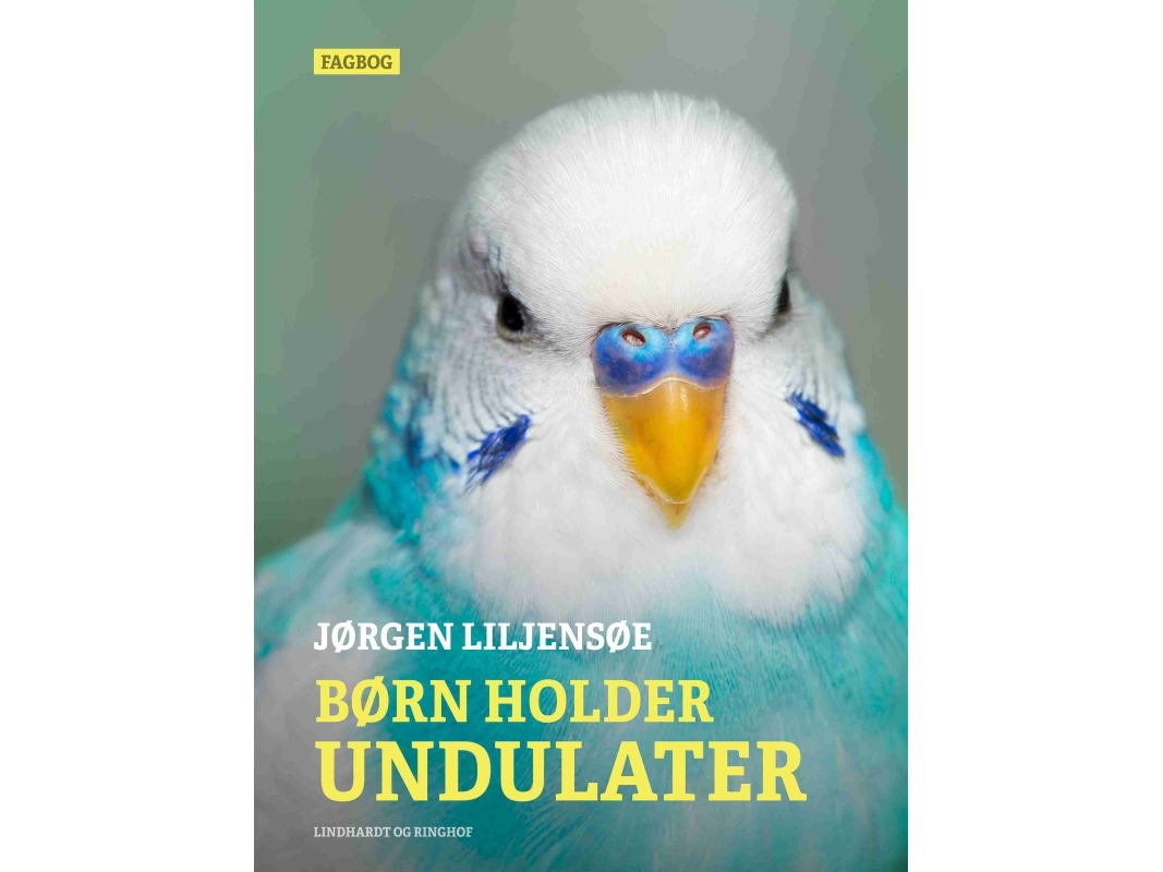 Børn Holder Undulater | Jørgen Liljensøe