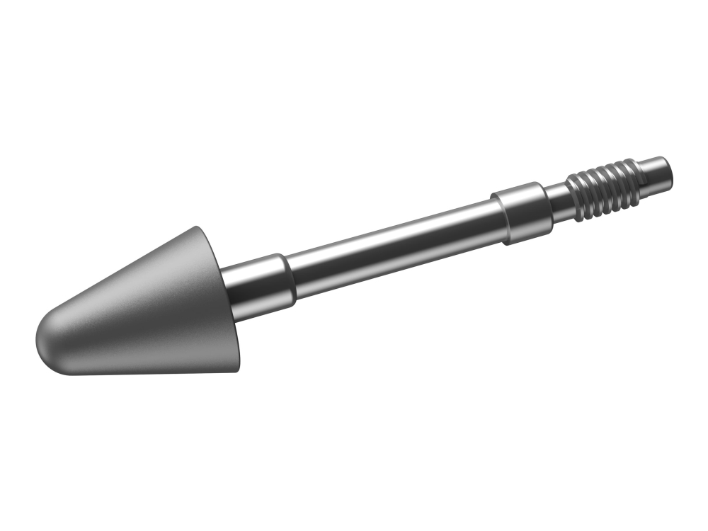 Lenovo - Spids til digital pen - grå (pakke med 2)