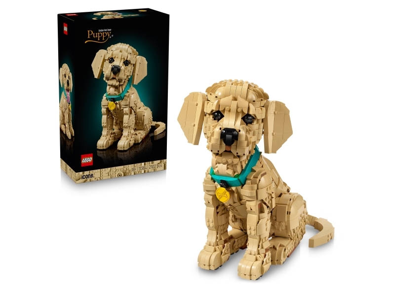 11384 LEGO Icons Golden retriever-hvalp