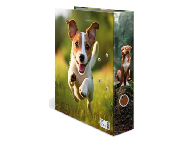 HERMA 20098, A4, Opbevaring, Pap, Flerfarvet, 7 cm, 1 stk