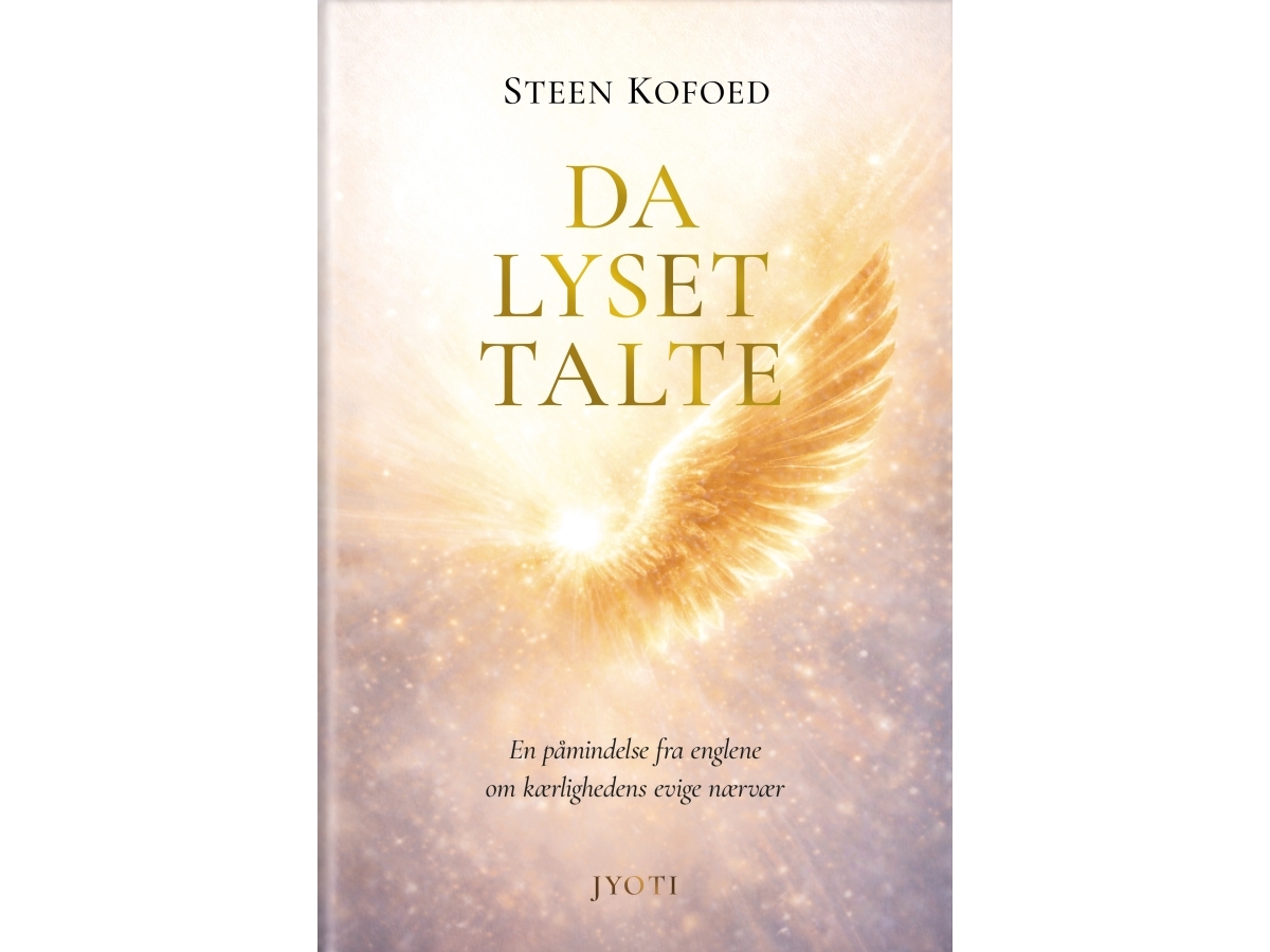 Da Lyset Talte | Steen Kofoed