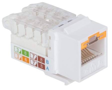 Intellinet 790758, Flad, Hvid, Rj-45, Hunstik, Guld, 22/26