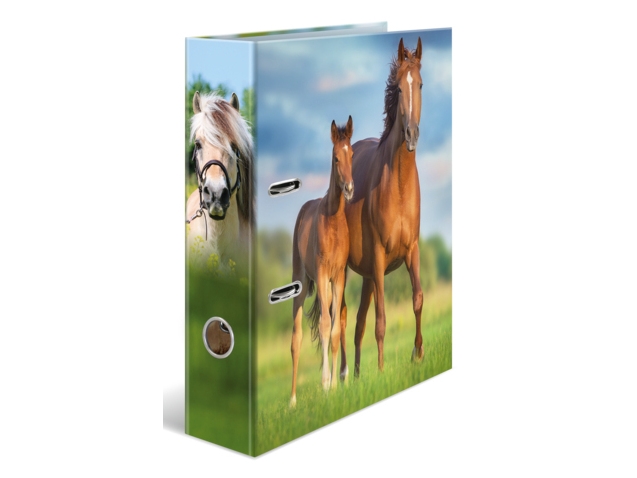 HERMA 20097, A4, Opbevaring, Pap, Flerfarvet, 7 cm, 1 stk