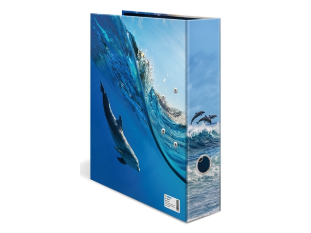 HERMA 20100, A4, Opbevaring, Pap, Flerfarvet, 7 cm, 1 stk