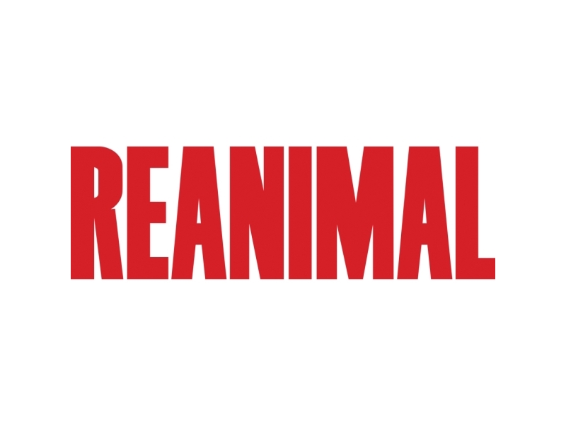 THQ Nordic Reanimal, PlayStation 5, RP (Betyg avvaktan) | Spel - Spel - Playstation 5 | GameStuff