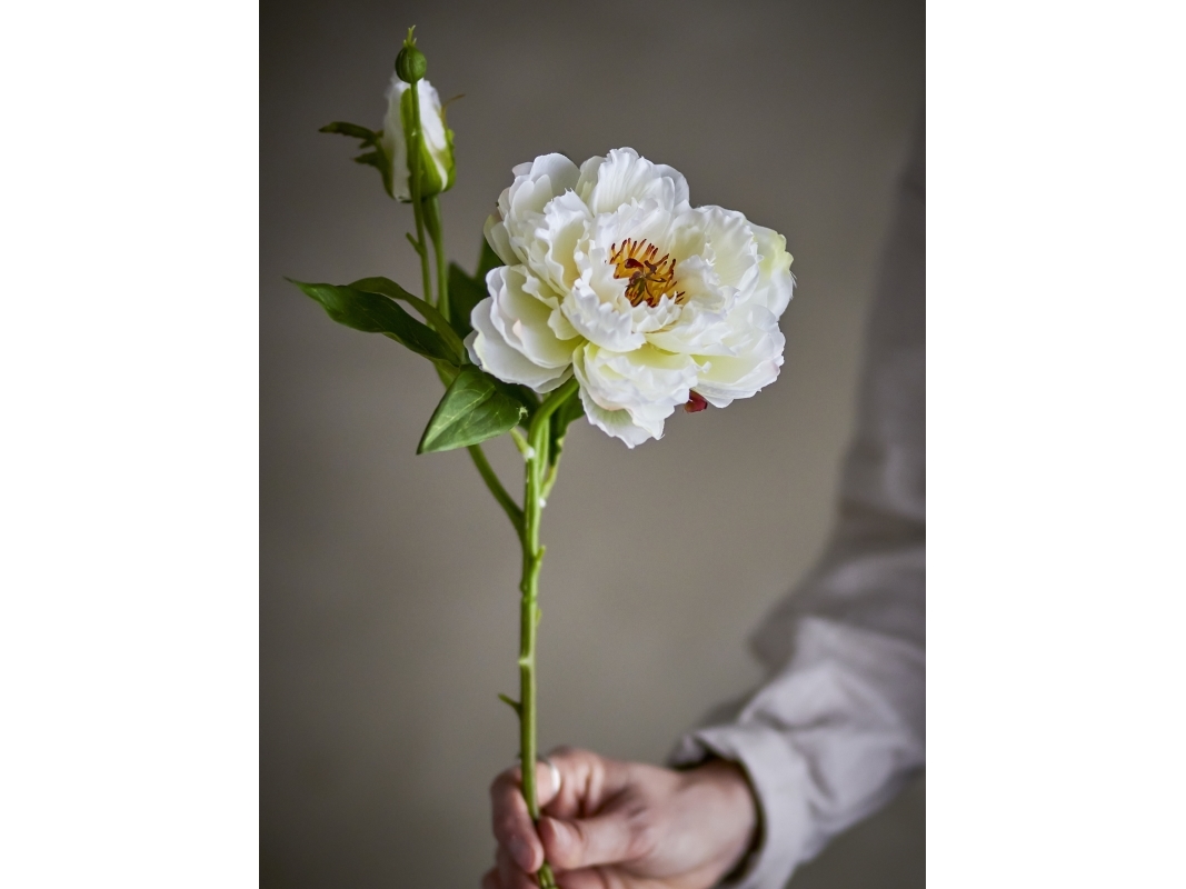 BLOOMINGVILLE Pionstjälk, vit, Konstgjorda blommor | Baby & barn - Dekoration | GameStuff