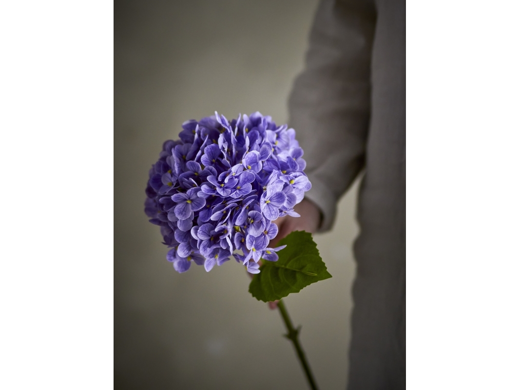 BLOOMINGVILLE Hortensia varsi, violetti, Tekokukat, tekokukat