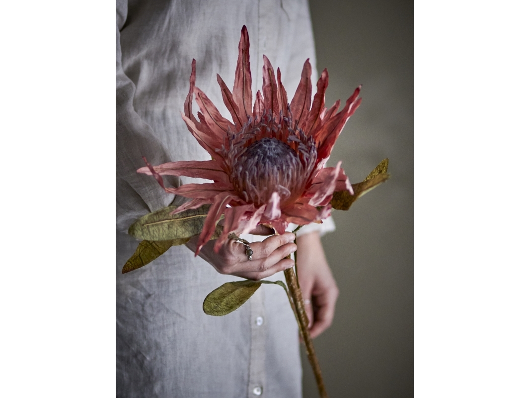 Bloomingville - Protea Stilk, Rosa, Kunstige Blomster, D22xH100 cm