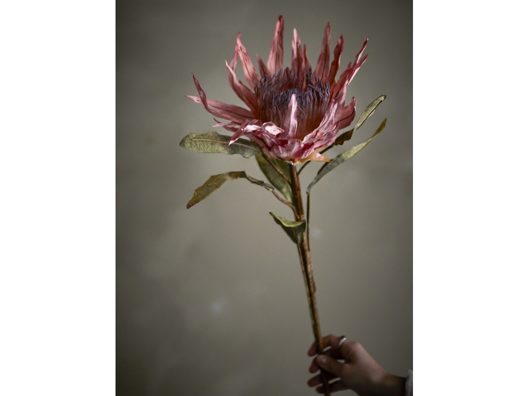 BLOOMINGVILLE Protea-stjälk, Rosa, Konstgjorda blommor | Bostäder - Inredning - Konstgjorda blommor & växter | GameStuff