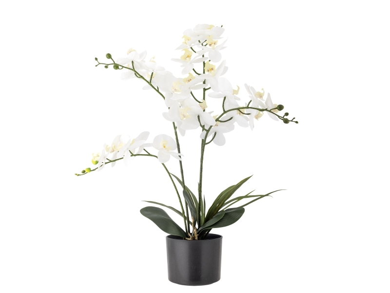 Bloomingville Orchid Plante, Hvid, Kunstige Blomster