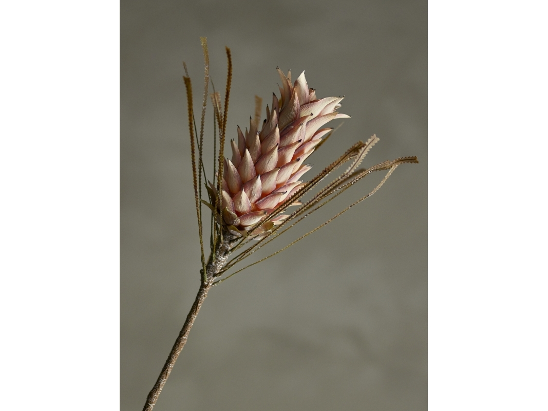 Bloomingville Palmflower Stilk, Rosa, Kunstige Blomster