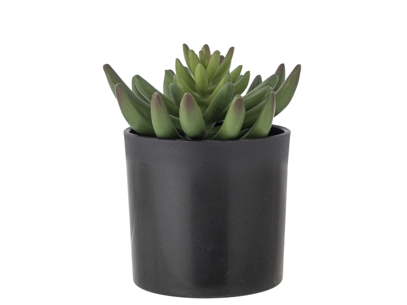 Bloomingville Echeveria Plante, Grøn, Kunstige Blomster