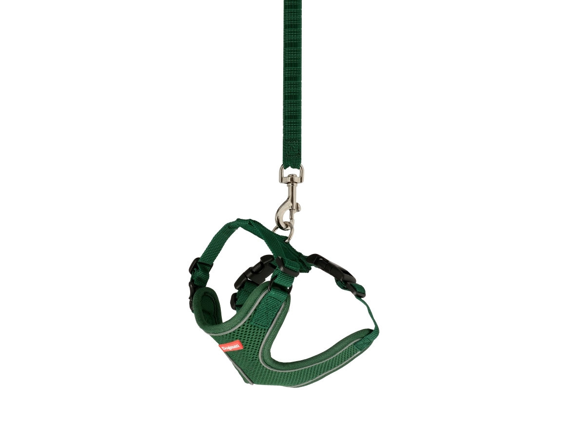 Dogman Air Mesh Sæt til Kat Grøn M