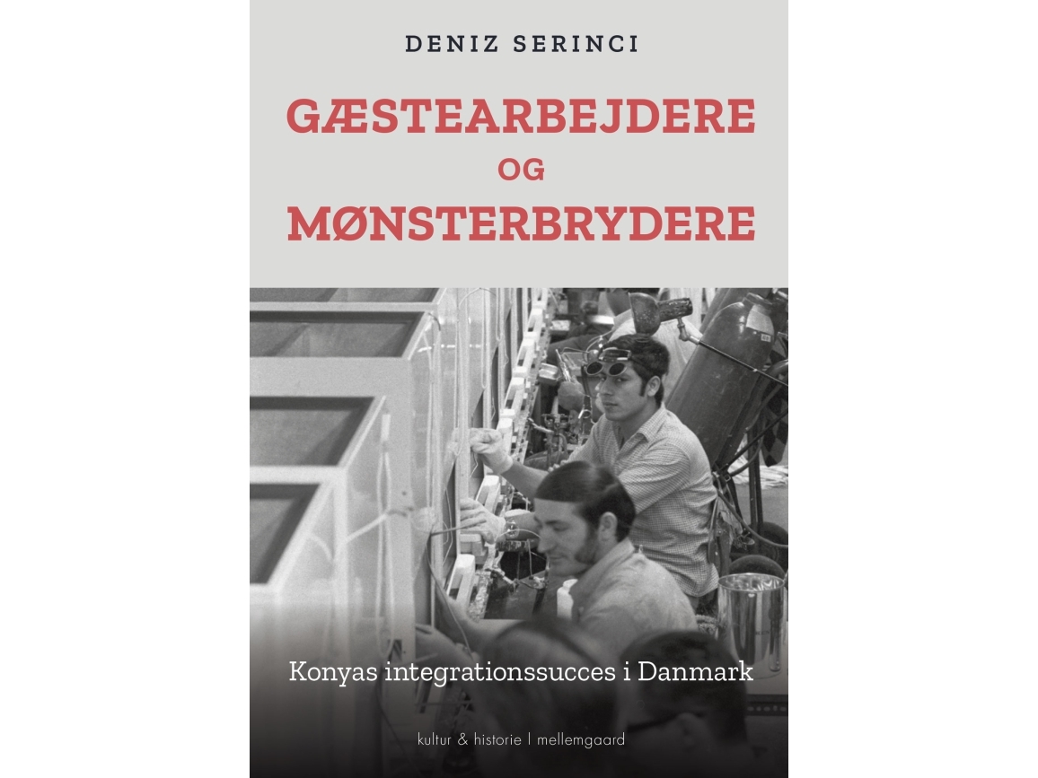 Gästearbetare och mönsterbrytare Deniz Serinci Språk: Danska | Böcker - Kultur | GameStuff